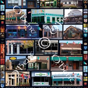 ORDER THE FINE IRISH PUBS OF GREATER CLEVELAND POSTER